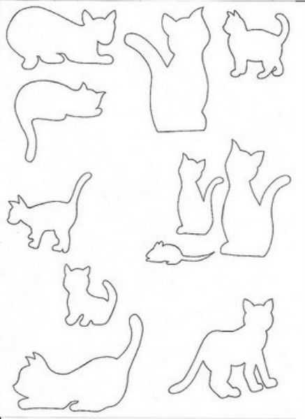 kedi sanat etkinlikleri (33)