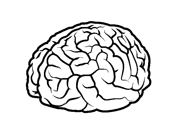 okul oncesi beyin organi boyama sayfasi (5)