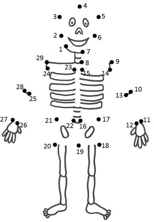 vücudumuz ve iskeletimiz etkinlikleri (11)