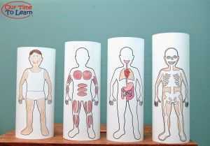 vücudumuz ve iskeletimiz etkinlikleri (38)