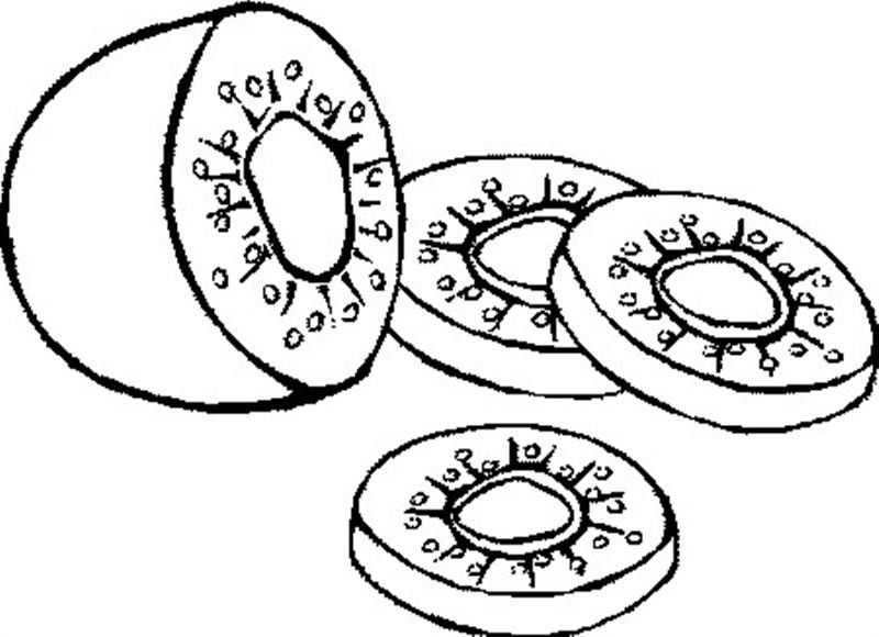 Meyve (281)