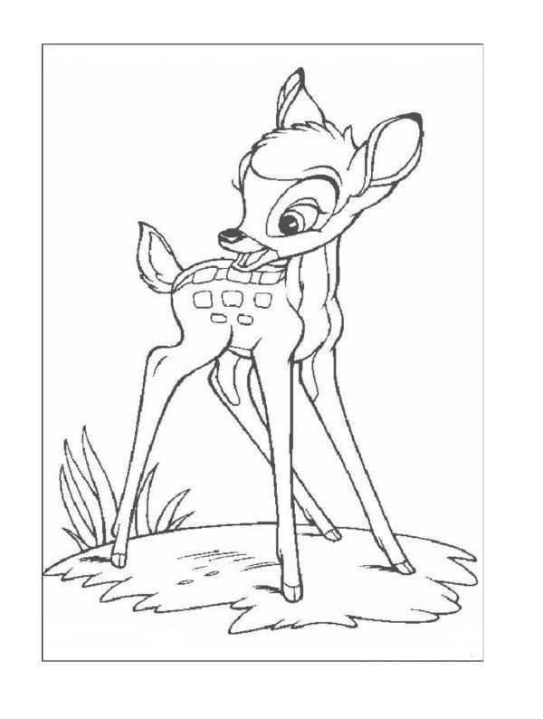 bambi boyama sayfasi (38)