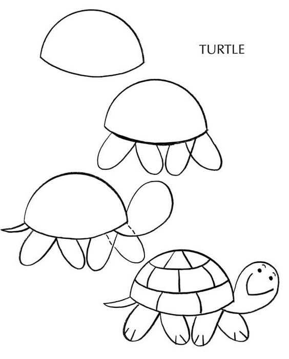 Okul Oncesi Kaplumbaga Nasil Cizilir 2 Okul Oncesi Etkinlik