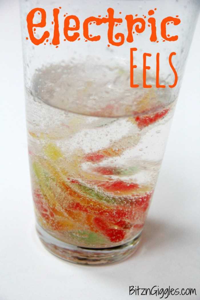 Electric-Eels-682x1024