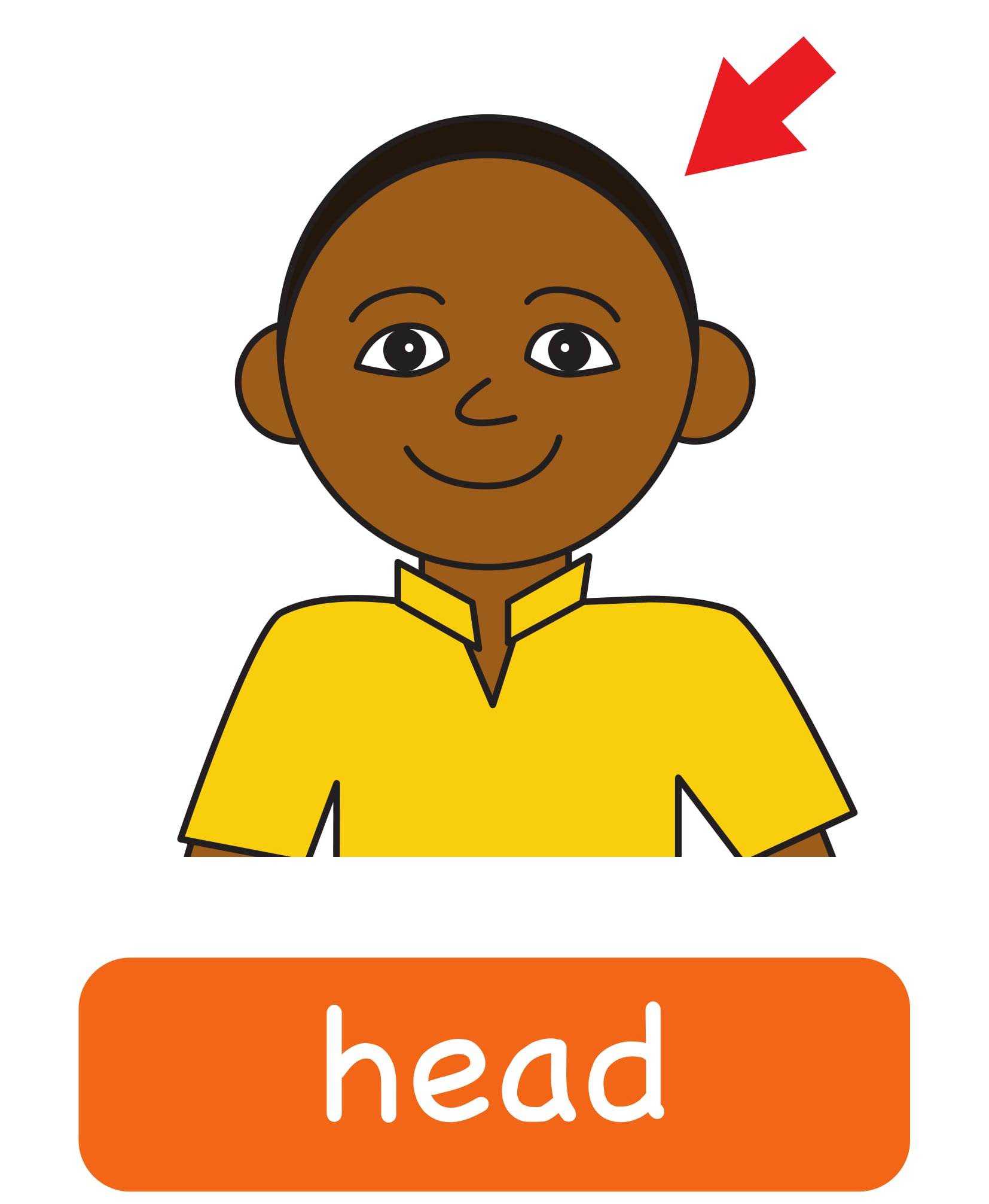 Английские слова голова. Head на английском. Карточка head. Head для детей. Карточки для английского голова.
