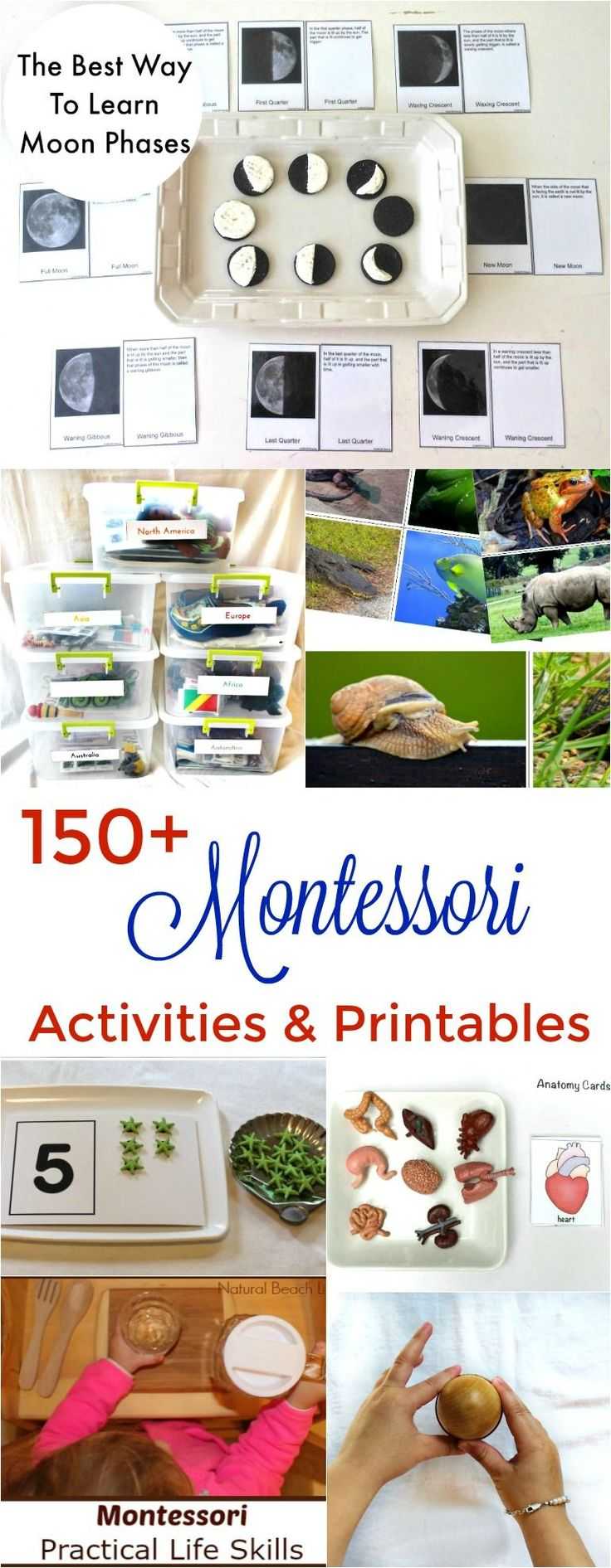 150 The Best Montessori Activities, Free Printables, Montessori Books
