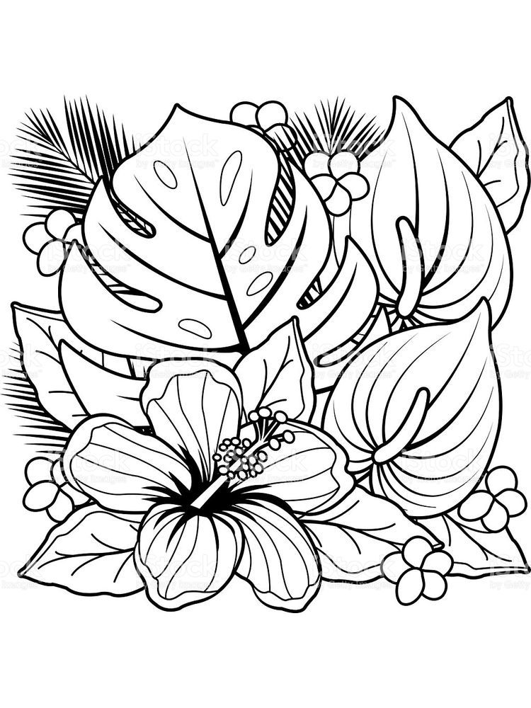 Daisy Flower Garden Journey Coloring Pages 1